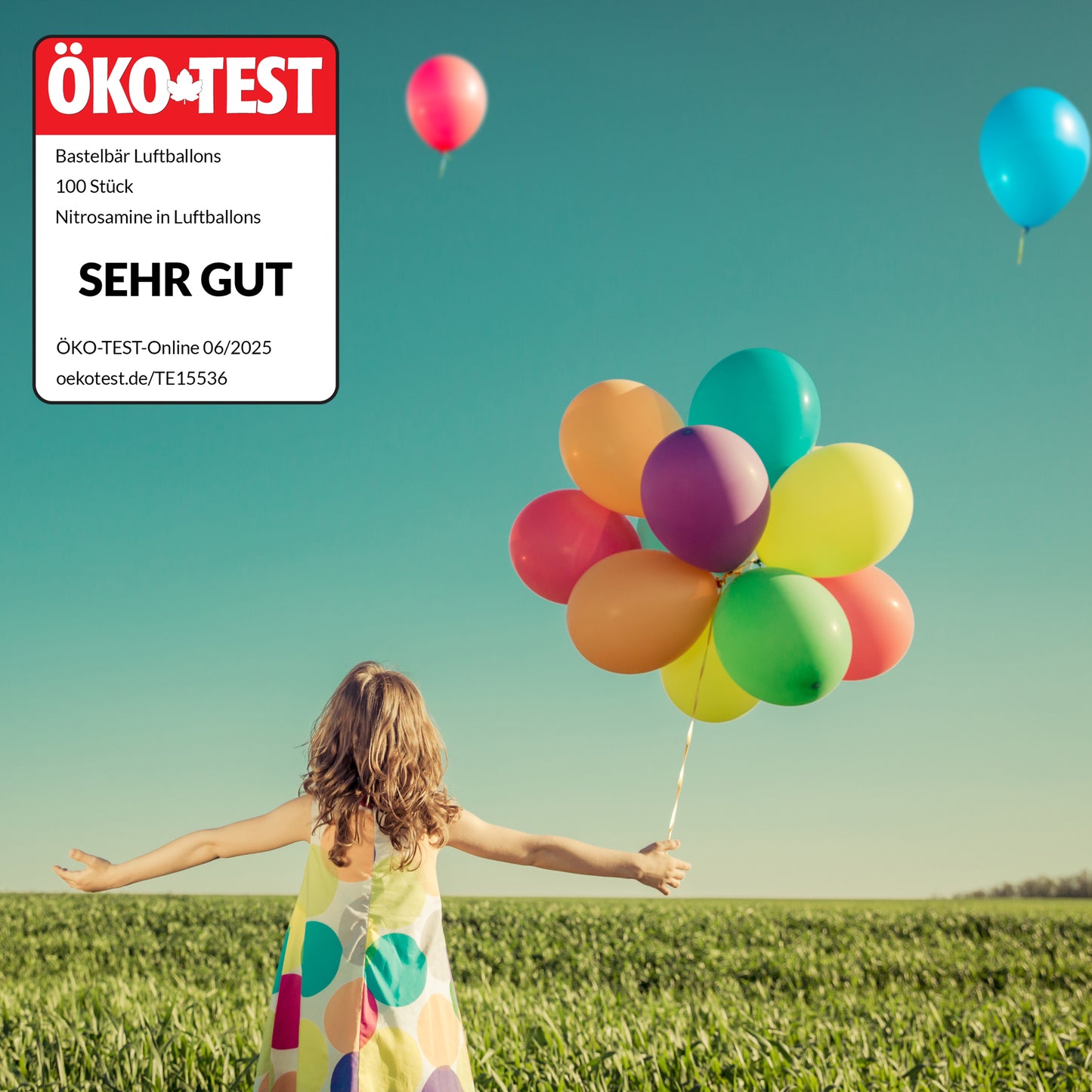 BIO Luftballons Geburtstag Bunt • MADE IN EU • ÖKO-TEST "SEHR GUT"