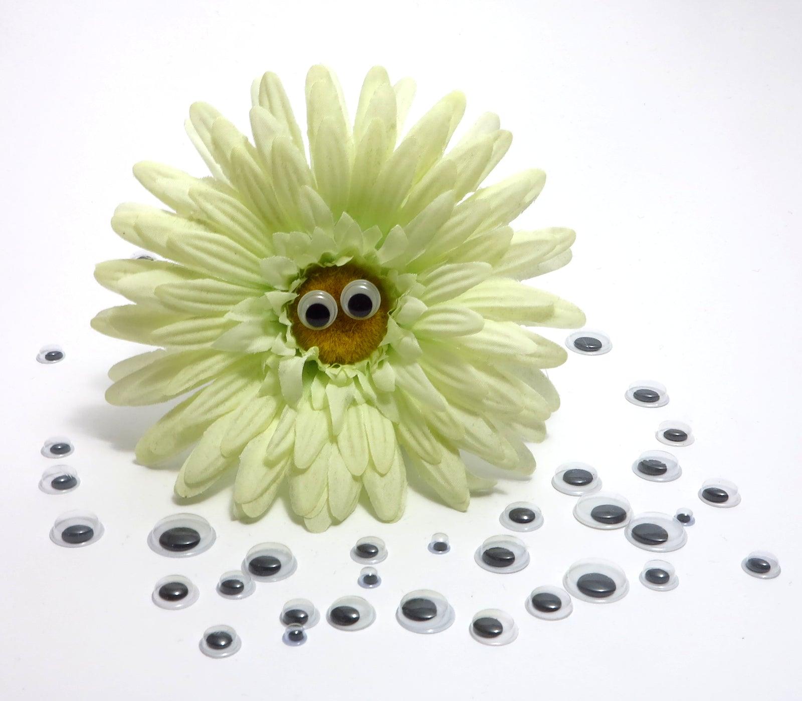 600 Wackelaugen - Box - groß mittel klein - Bastelbaer-Shop